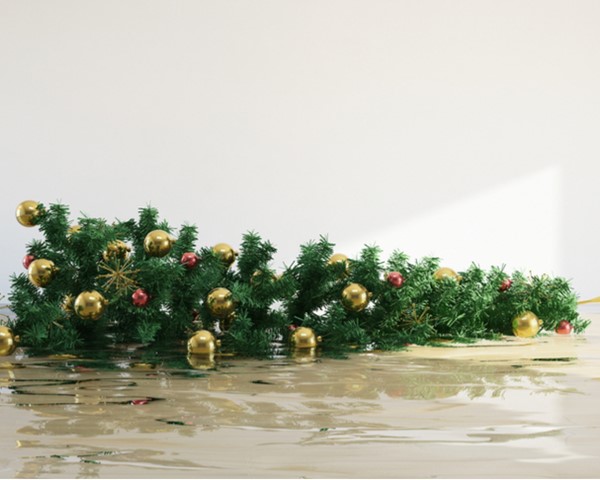 Prevent a Christmas Disaster in Your Home